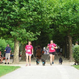 Run4Fun 2024