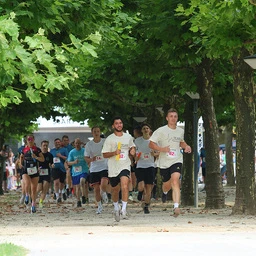 Run4Fun 2024